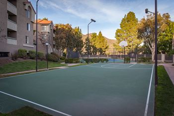 Basketball court